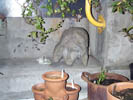 patio head.jpg